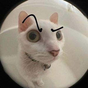 Meet your Posher, Eli